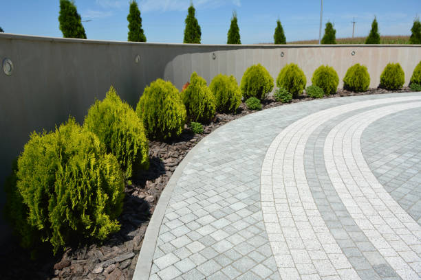 Reasons to Select Us for Your Driveway Paving Requirements in Seven Fields, PA